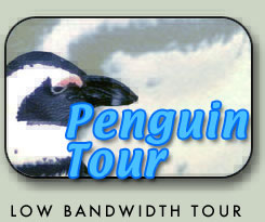 Penguin Tour: Low Bandwidth Version