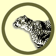 Adopt an Animal